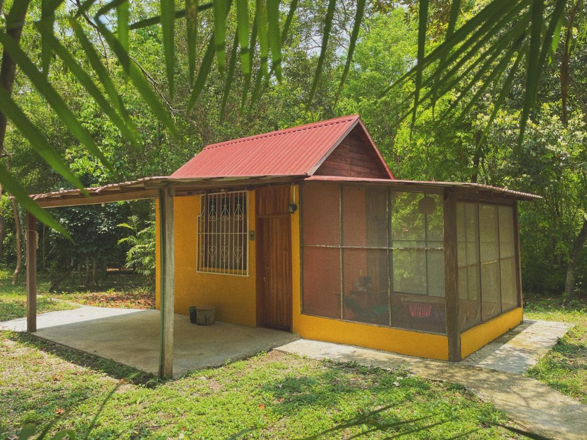 Ecohabitat Bed & Breakfast Ешпухил Екстериор снимка